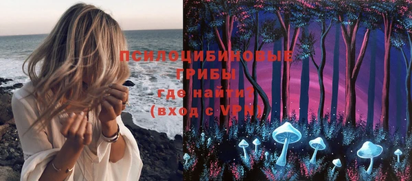 дурь Волоколамск
