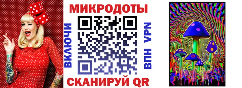 Псилоцибиновые грибы Cubensis  Купить  Дальнереченск 